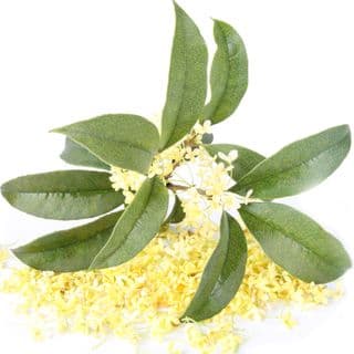 Mộc tê Trung Quốc Mộc tê Trung Quốc