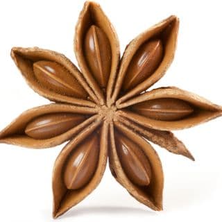 Hoa Hồi Hoa Hồi