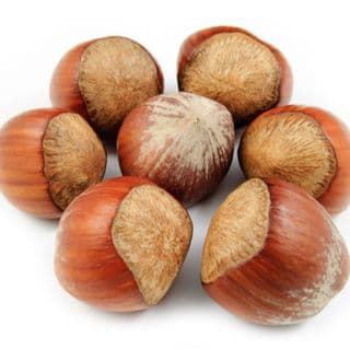 Hạt phỉ Hạt phỉ