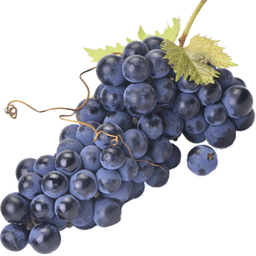 Nho Cabernet Nho Cabernet