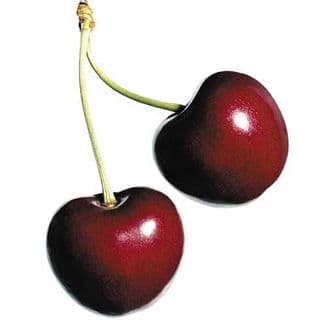 Quả anh đào chua Quả anh đào chua