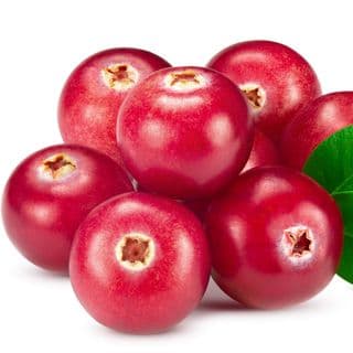 Quả Mọng Đỏ Quả Mọng Đỏ