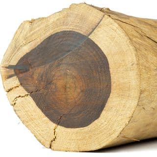 Gỗ cẩm lai Gỗ cẩm lai