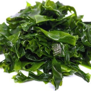 Rong biển Rong biển