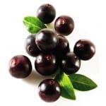 Quả Acai Quả Acai
