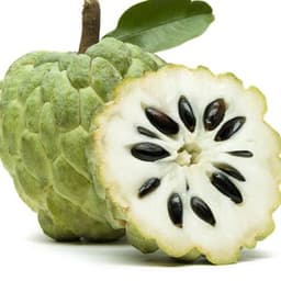 Trái Na Mỹ Trái Na Mỹ